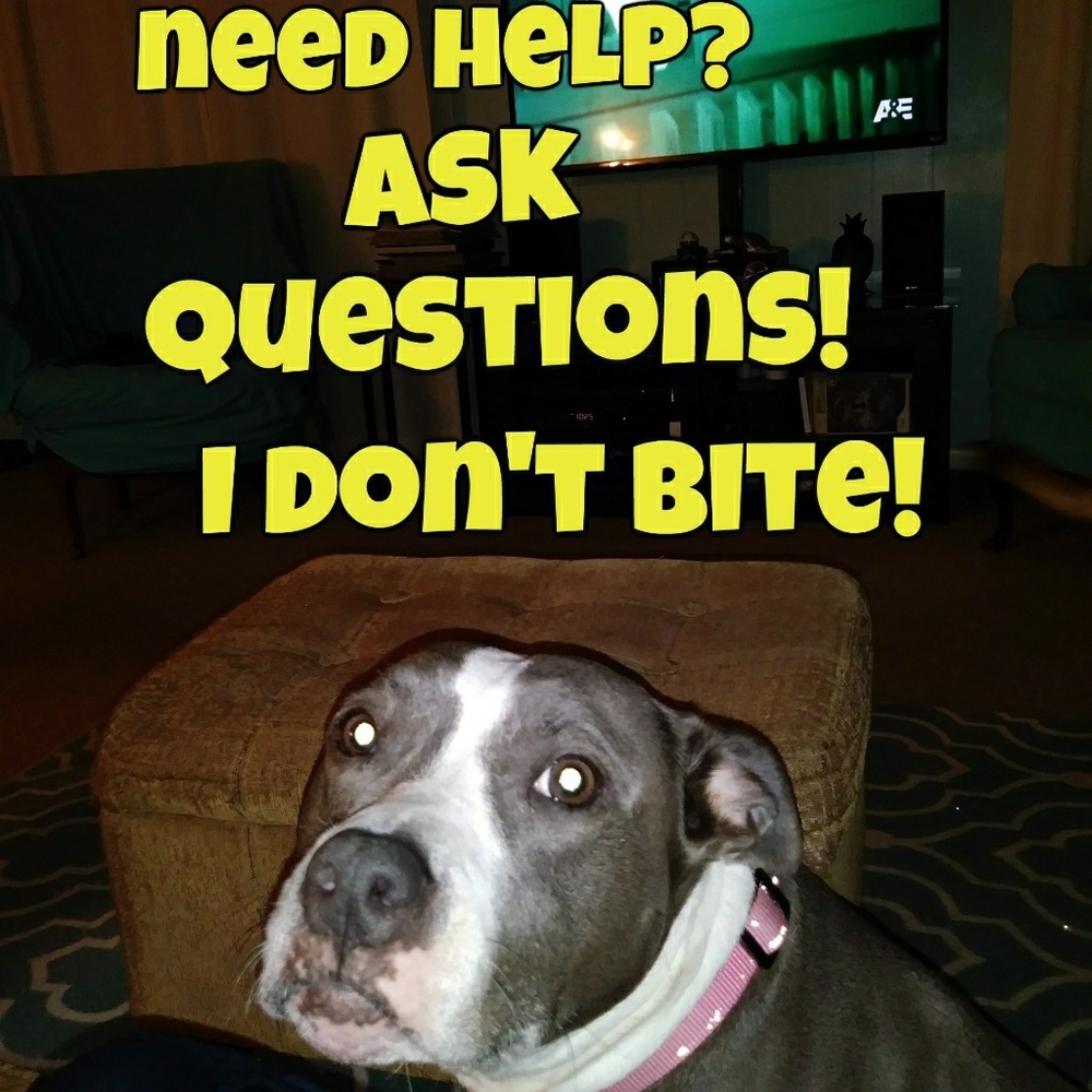 What is a bundle - Picture 5 of 12